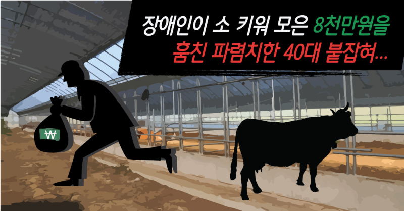 링크뉴스-포맷3