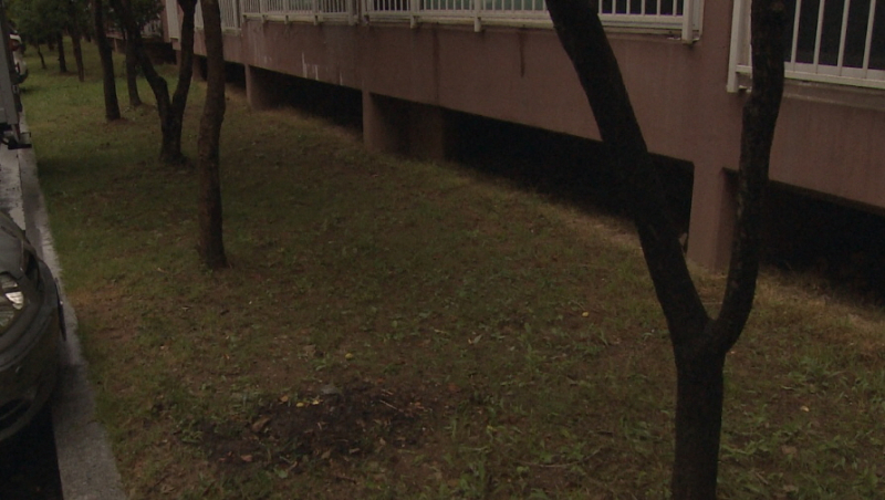 [썸네일]제목 없음