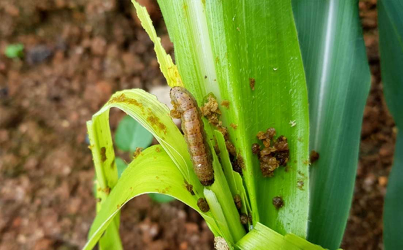 [크기변환]sdfsdaf