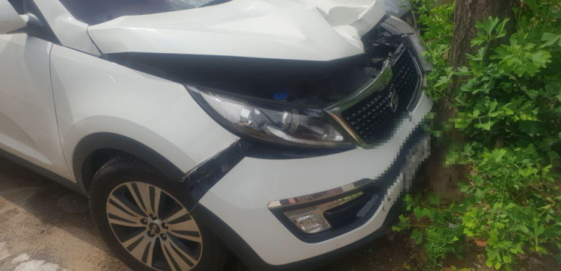 [썸네일]photo_2019-07-29_10-12-01