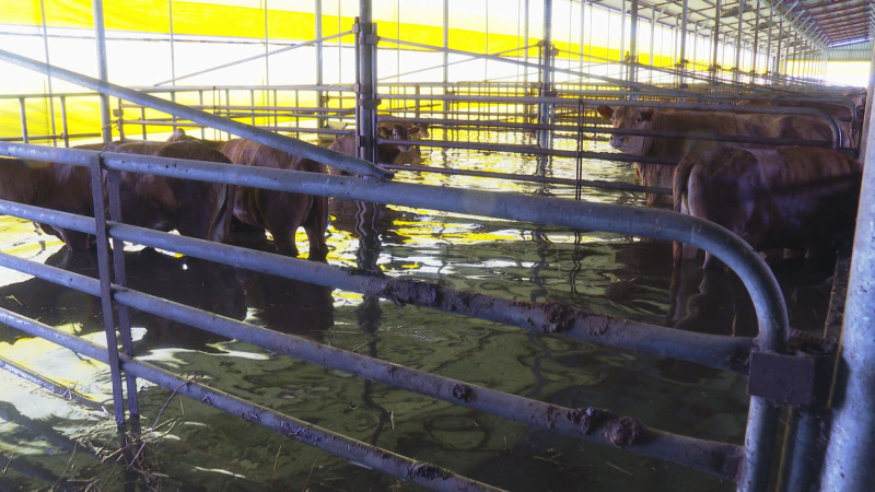 210712 장흥군 간부 공무원들1