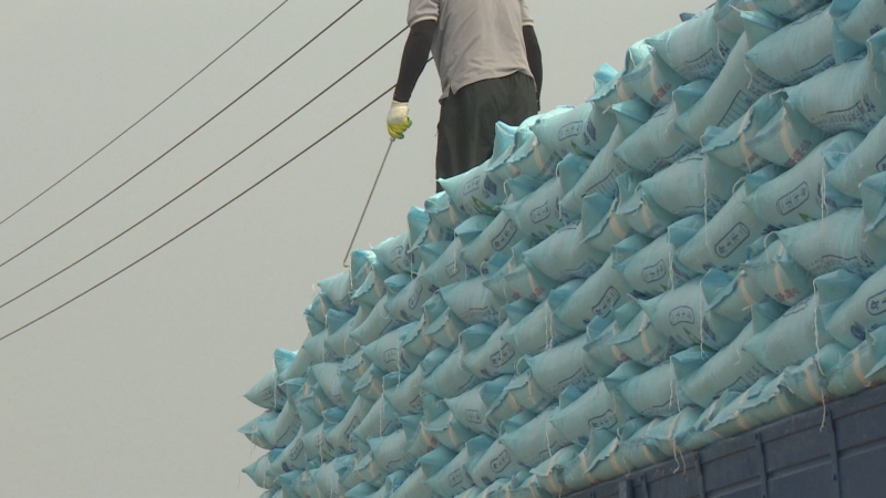 211116 신안군 염전 종사자3