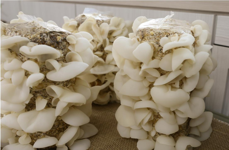 [크기변환]AKR20220120048600054_01_i_org