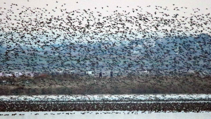 [크기변환]영암호