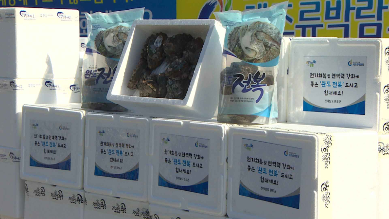 [크기변환]전복