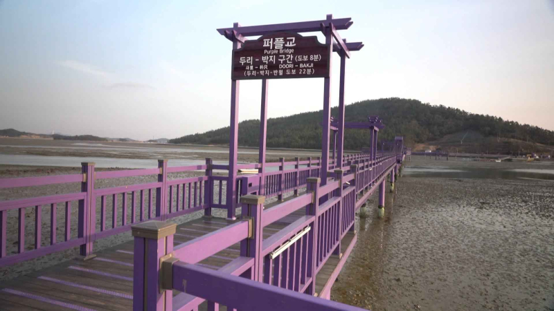 [크기변환]퍼플교