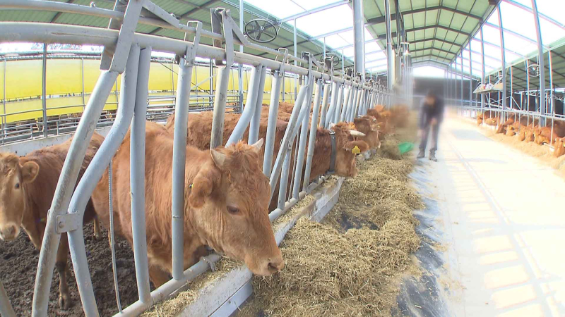 [크기변환]농가