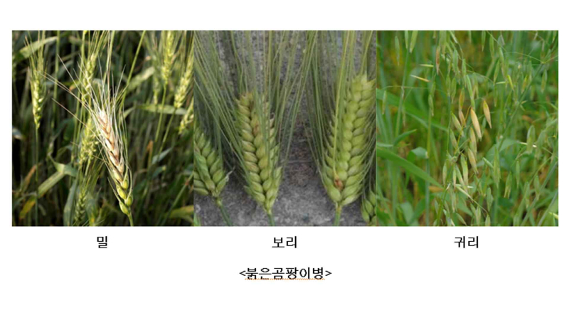 qqqqqqqqqqqqqqqqqqqqqqqqq