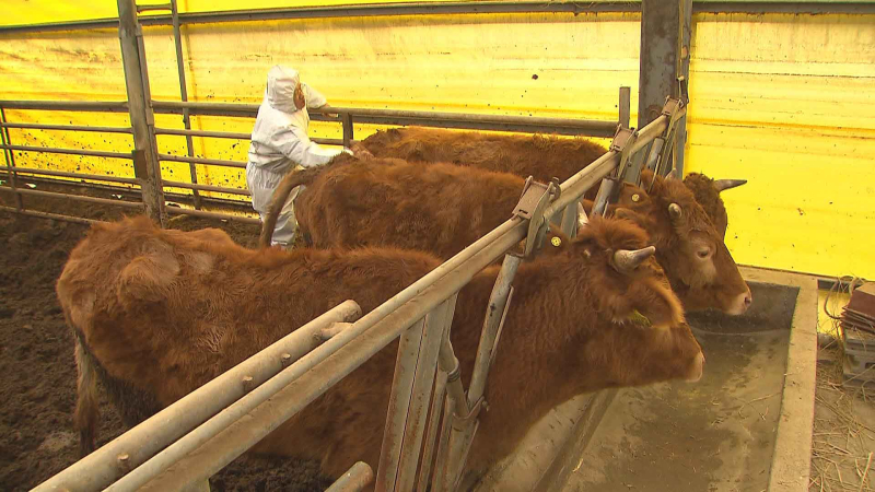 [크기변환]ththth