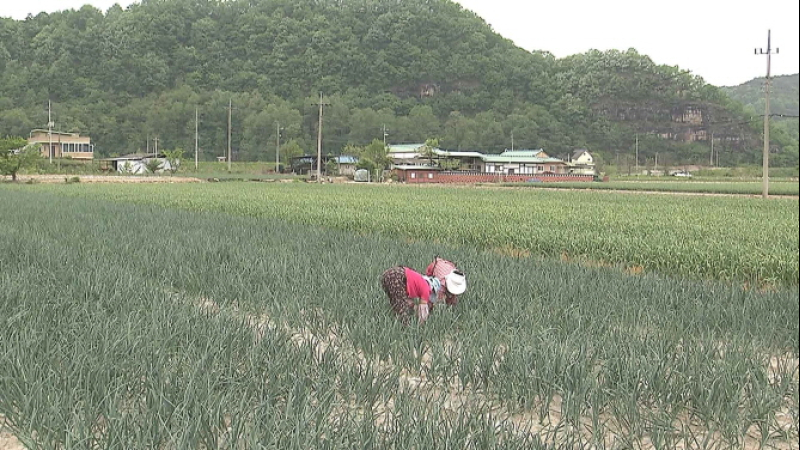 [크기변환]농지