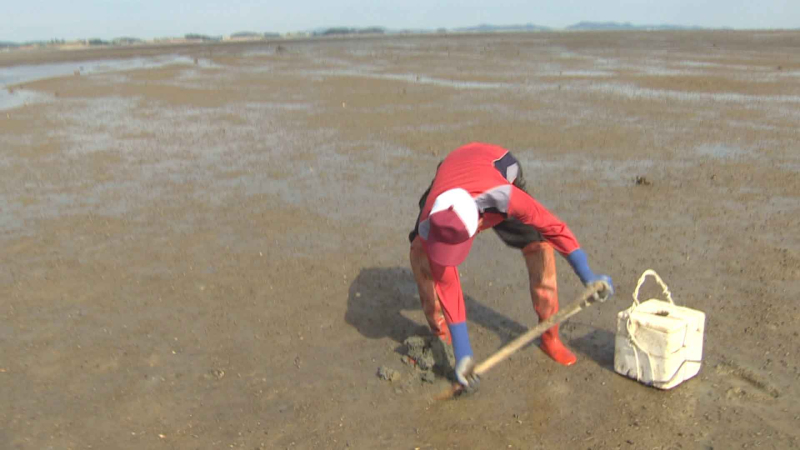 [크기변환]나ㅓ니ㅓ